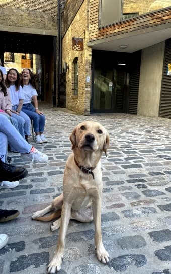 Reggie, Lottie's Good Times Officer